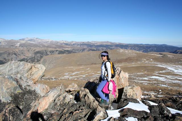 Just off Beartooth highway, 11,000' MSL